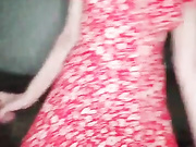 DiPrincess