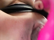 angelika77741
