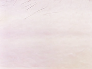 hairycrotch