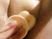 Svetlana 14
