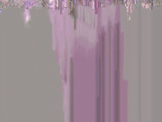 LilyVirs