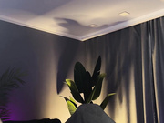 lanatropicon
