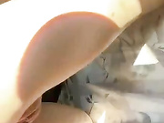Dandimilk