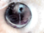 NikkaHotX пробка в анал+рука по локоть