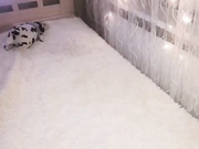 Онлайн-эровидеочат с VictoriaFoxxx на BongaCams 2022-12-27 22_17