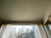 Общение с пользователем Alexispixie в онлайн-видеочате (18+) 2023-03-19 12_37