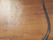 Aliciasmithh бесплатное вебкам шоу и XXX чат _ xHamsterLive 2023-04-09 02_26