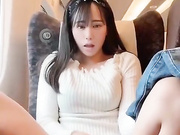 Японская девушка мастурбирует в Синкансене