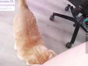 Общение с пользователем Maryjane_314 в онлайн-видеочате (18+) 2023-04-21 03_07