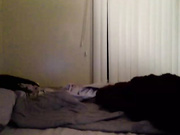 amandarox