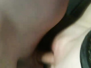 SexyPaws