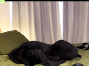 galantini 2023-04-29