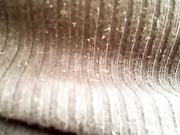 DaisyVibes бесплатное вебкам шоу и XXX чат _ xHamsterLive 2023-05-01 14_30