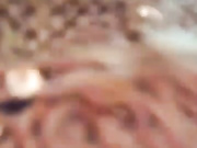 Emily-- бесплатное вебкам шоу и XXX чат _ xHamsterLive 2023-03-09 18_13