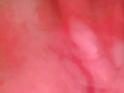 Emma_tour бесплатное вебкам шоу и XXX чат _ xHamsterLive 2023-03-17 04_15