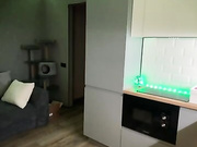 damkiky