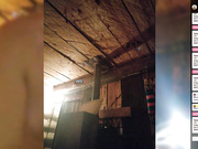 MyLittlegi сквирт