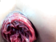 NikkaHOTx бесплатное вебкам шоу и XXX чат _ xHamsterLive 2023-04-09 17_05