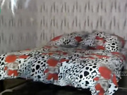 vinetta
