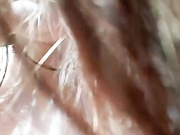 hairycrotch