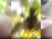 -INDICA- сквиртит в лесу