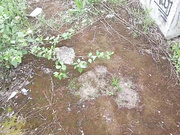 LoveAndSex24 30.05.2023