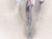 ToxicTiger 07.06.2023