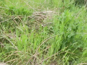 LoveAndSex24 06.06.2023