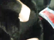 Онлайн-эровидеочат с Sestrichka на BongaCams 2022-01-16 16_14