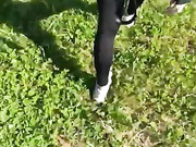 Онлайн-эровидеочат с Angelo4ek-Mashulya на BongaCams 2023-06-01 15_38