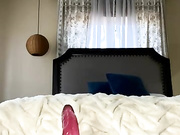 Lovely_beast бесплатное вебкам шоу и XXX чат _ xHamsterLive 2023-03-02 21_58