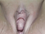 Ogonek37