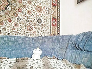 VikiKonfetka