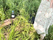 sexcomedy 17.06.2023