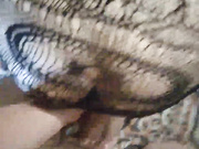 looktheleft