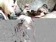 NataliNylon бесплатное вебкам шоу и XXX чат _ xHamsterLive 2023-04-01 14_03