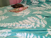 Flymariia