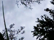 NathalieDream бесплатное вебкам шоу и XXX чат _ xHamsterLive 2023-06-25 16_25