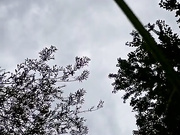 NathalieDream бесплатное вебкам шоу и XXX чат _ xHamsterLive 2023-06-25 16_25