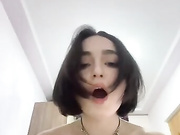 Avs_Kitty_Z