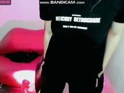 LilyVirs