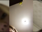 dikaya_koshka_ADAAAAA