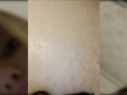 dikaya_koshka_ADAAAAA