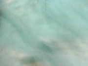ElenaSativa