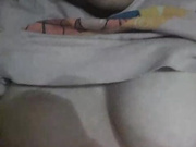 Lily320
