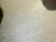 dikaya_koshka_ADAAAAA