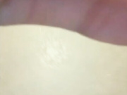 dikaya_koshka_ADAAAAA