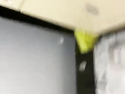 dikaya_koshka_ADAAAAA