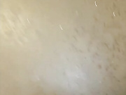 dikaya_koshka_ADAAAAA