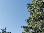 CrazyBunnys 22.07.2023